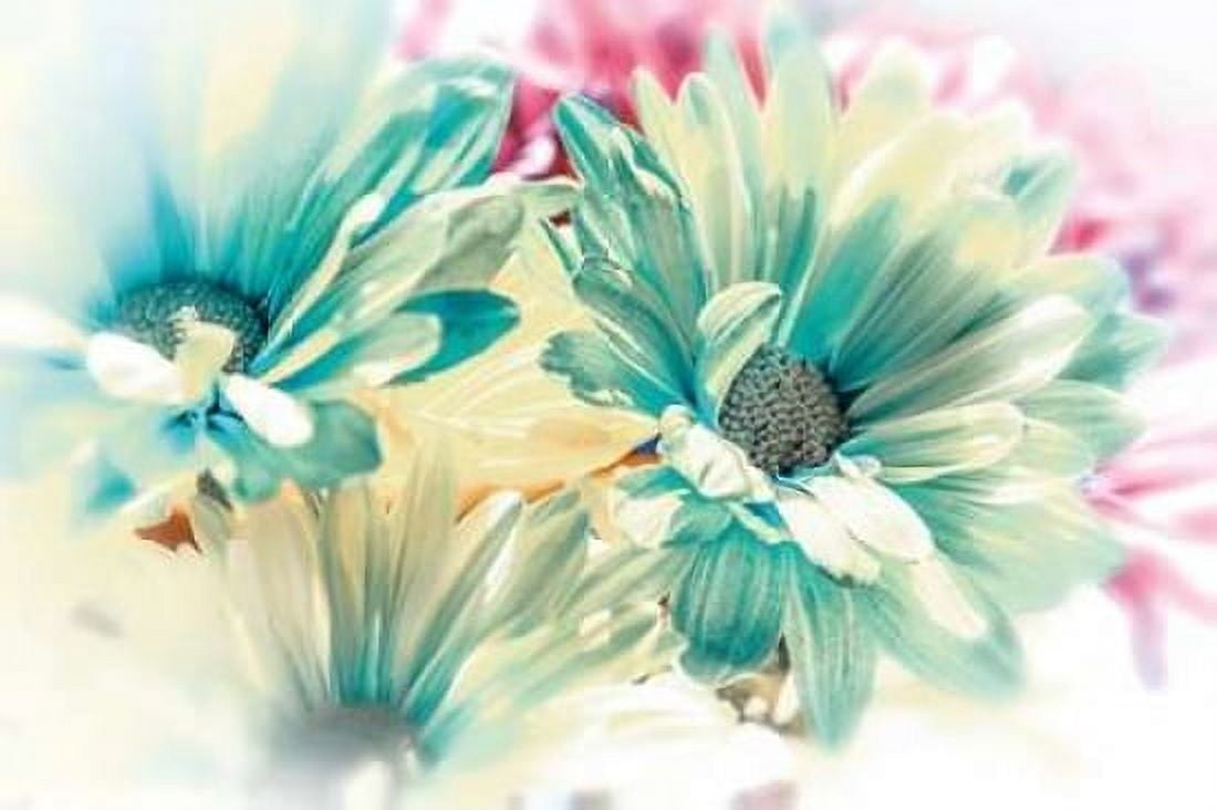 Colored Stars Canvas Art - Dina Marie (24 x 36)