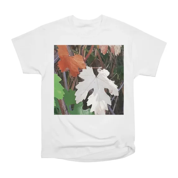 Colored leaves autumn fall leaves leaf Xmas Christmas spring leaves ...