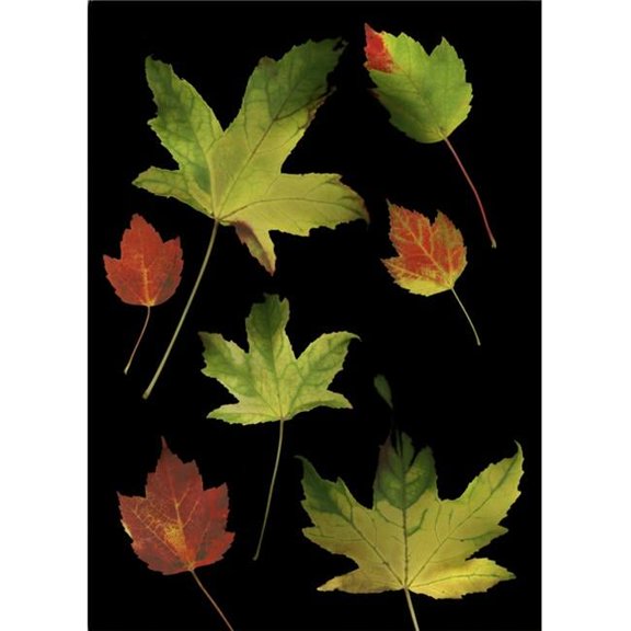 Colorful Autumn Leaves Poster Print by Deddeda - 12 x 17