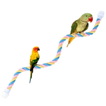 View of Baluue Multifunctional Parrot Perch Stand with Hanging Feeder Durable ...