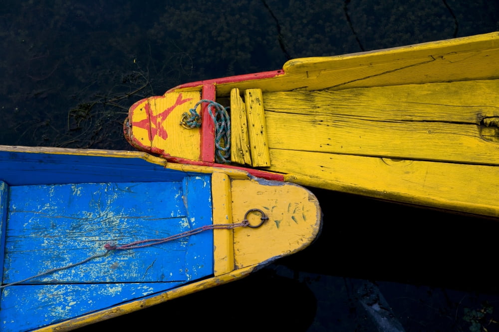 Colorful Boats Srinagar Dal Lake Kashmir India Canvas Art - David DuChemin Design Pics (38 x 24)