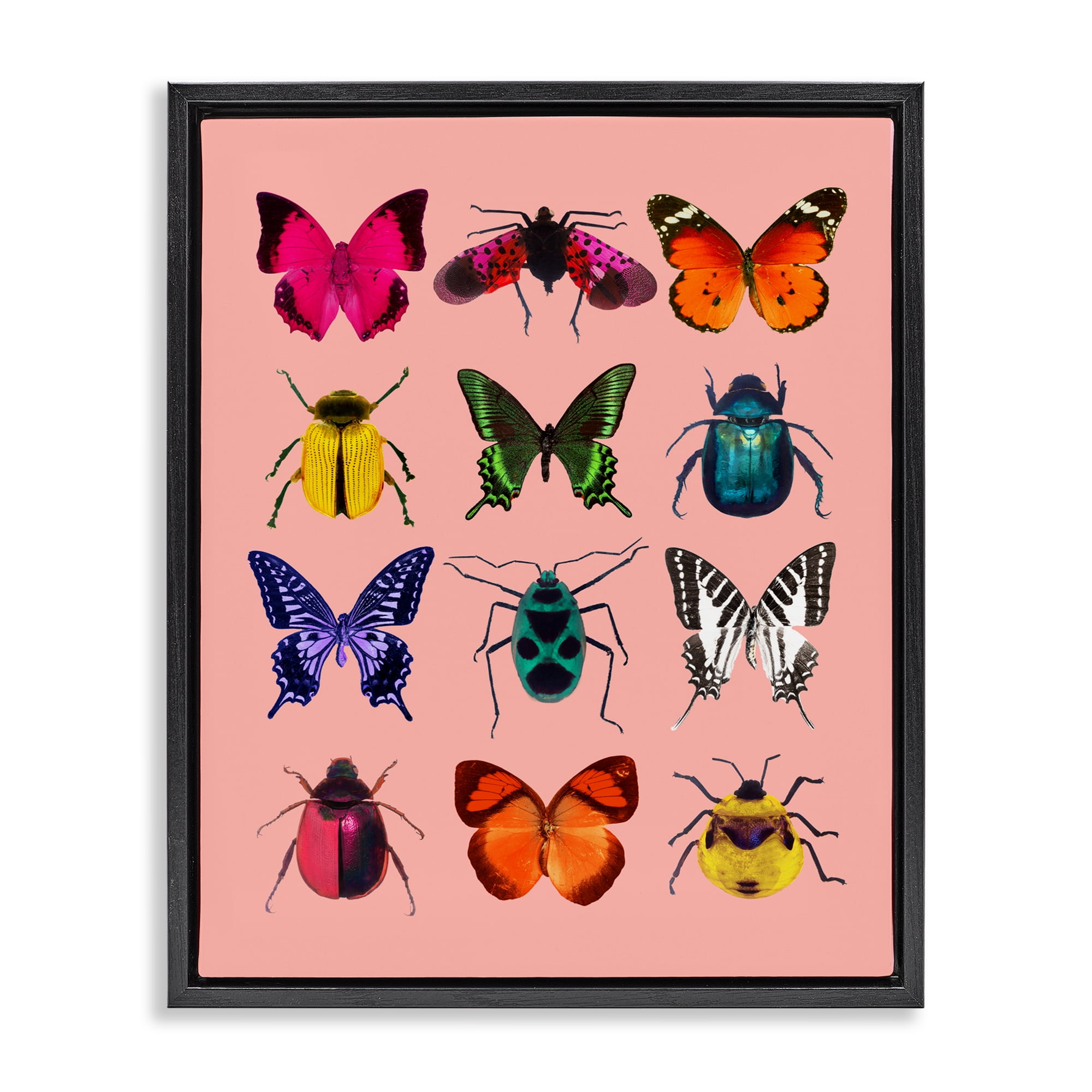 Colorful Bug Species on Pink Black Framed Floater Canvas Wall Art, design by LISH Creative