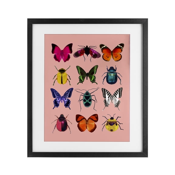 Colorful Bug Species on Pink Black Framed Print Under Glass, design by LISH Creative