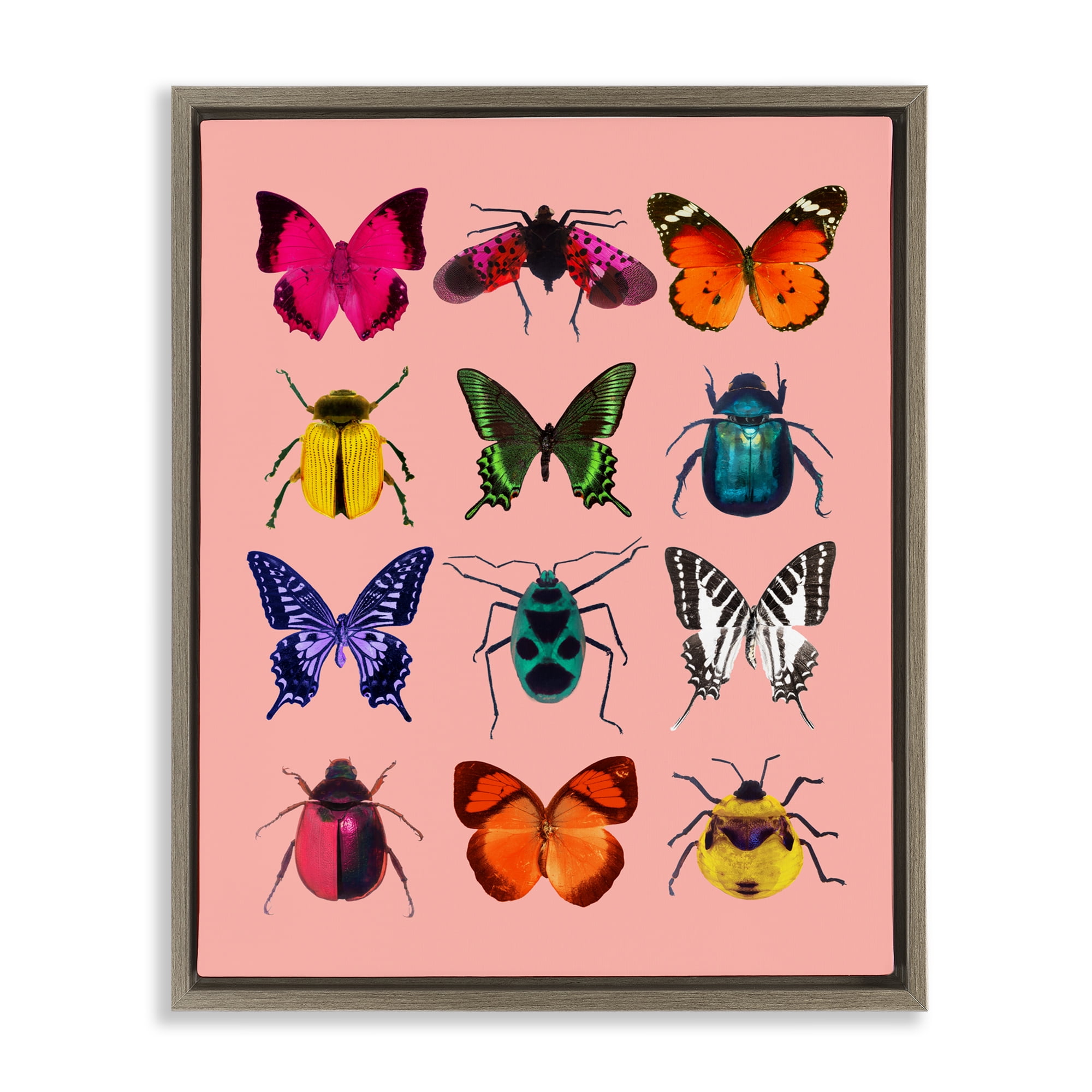 Colorful Bug Species on Pink Brown Framed Floater Canvas Wall Art, design by LISH Creative