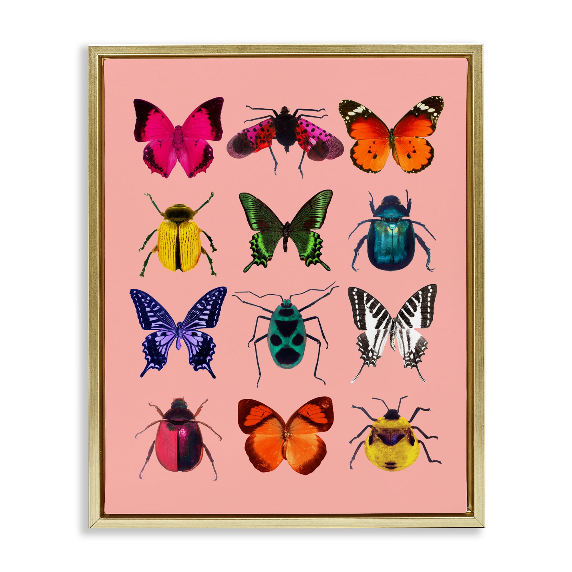 Colorful Bug Species on Pink Gold Framed Floater Canvas Wall Art, design by LISH Creative
