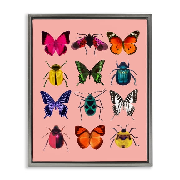 Colorful Bug Species on Pink Gray Framed Floater Canvas Wall Art, design by LISH Creative
