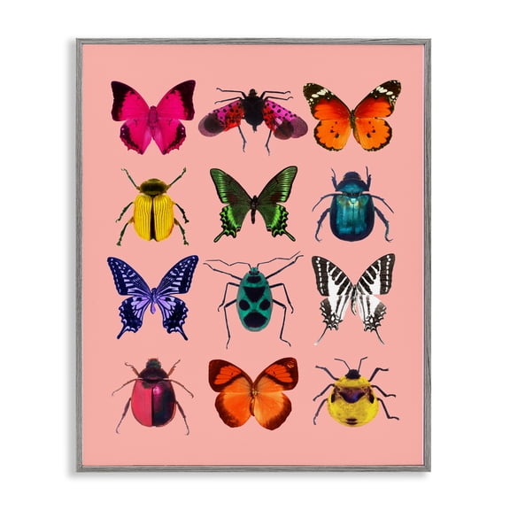 Colorful Bug Species on Pink Gray Framed Giclee Art, design by LISH Creative