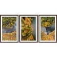 thumbnail image 1 of Colorful Bushes Triptych, 1 of 3