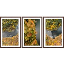 Colorful Bushes Triptych