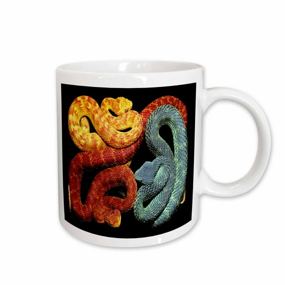 3drose, Colorful but Deadly Blue Orange N Yellow Poisonous Snakes, 15oz Mug