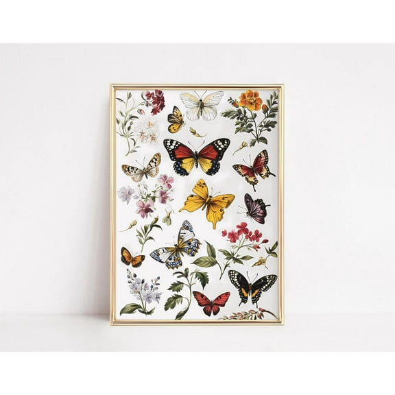 Colorful Butterfly Print, Cottage Nursery Girls Room Decor, Vintage Butterflies Artwork, Wall Art, Modern Wall Decor, 16x24 UNFRAMED