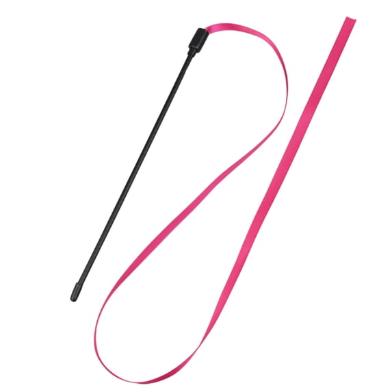 Colorful Cat Teaser Wand, Double-Sided Rainbow Ribbon Toy for Interactive Play, Long Cat Teaser String, Pet Exercise Toy