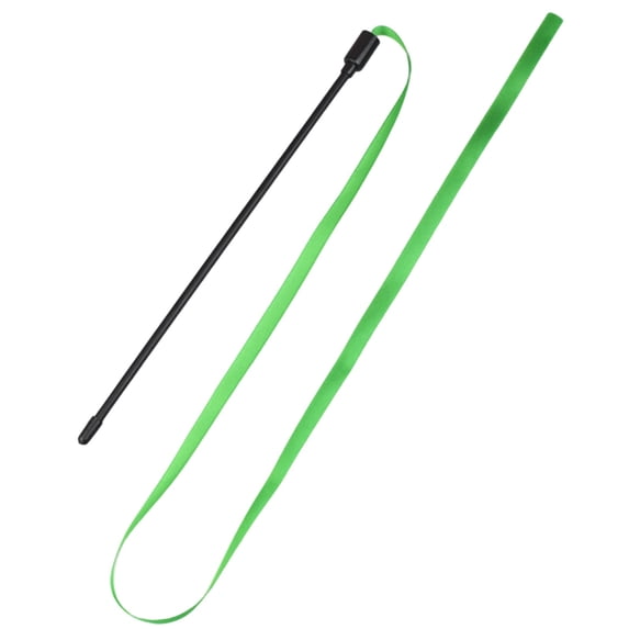 Colorful Cat Teaser Wand, Double-Sided Rainbow Ribbon Toy for Interactive Play, Long Cat Teaser String, Pet Exercise Toy