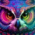 thumbnail image 1 of Colorful Companions of the Night - Canvas Wall Art, 1 of 1