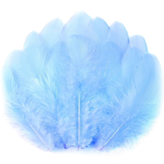 Colorful Craft Rooster Feathers - 300pcs 3-5inch Colored Feathers Bulk for DIY Crafts,Wedding Home Party Decorations,Dream Catcher Supplies(Rooster Colorful)