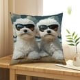 thumbnail image 1 of Colorful Cute Animals Print Pillow Set Bedroom Living Room Sofa Cushion 45x45 Cm For Sofa Living Room Decoration(not include Core), 1 of 6