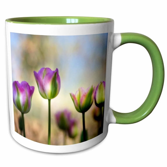 3drose, Colorful, Diffused Tulips, 15oz Two-tone Green Mug