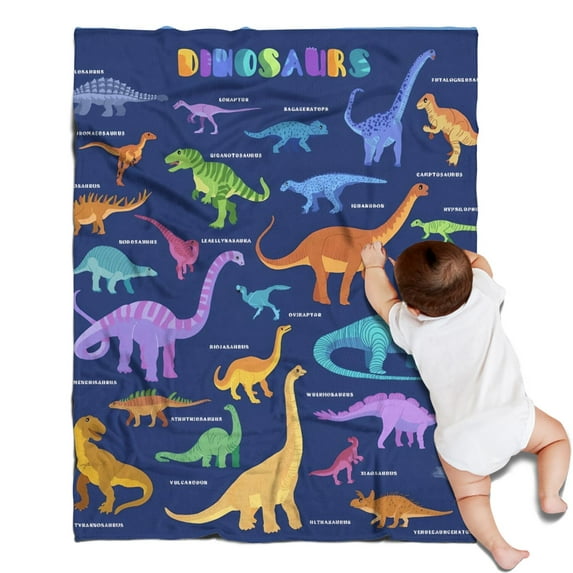 Colorful Dinosaurs Names Chart Pattern Blanket,Comfortable Soft Lamb Wool Throw Blanket,All Season,Warm Lightweight Blankets for Sofa Bed Couch Living Room Chair,30"x40"