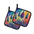 thumbnail image 1 of Colorful Eryngium Pair of Pot Holders, 1 of 2