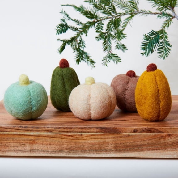 Colorful Fall Harvest Mini Pumpkin Set of 5