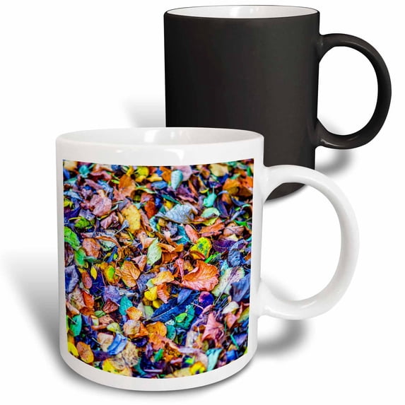 3drose, Colorful Fallen Leaves on the Ground. Autumn Season, 11oz Magic Transforming Mug