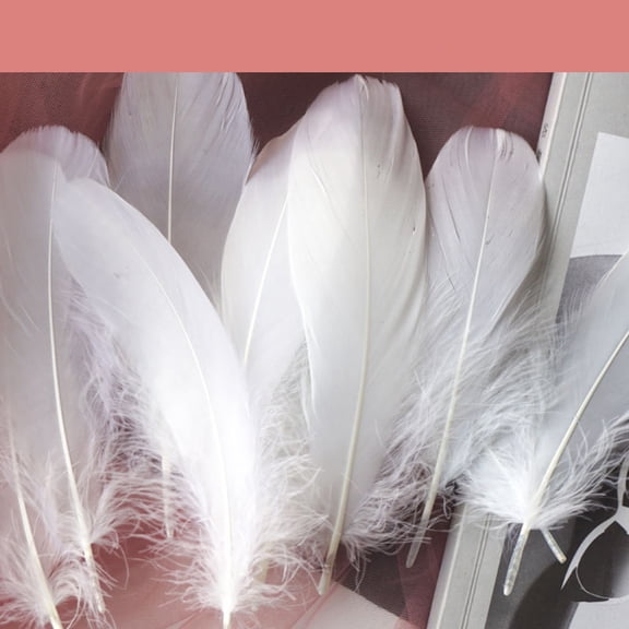 Colorful Feathers, 12-16cm, 50pcs