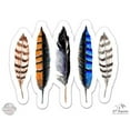 thumbnail image 1 of Colorful Feathers - 12" Vinyl Sticker Waterproof Decal, 1 of 1