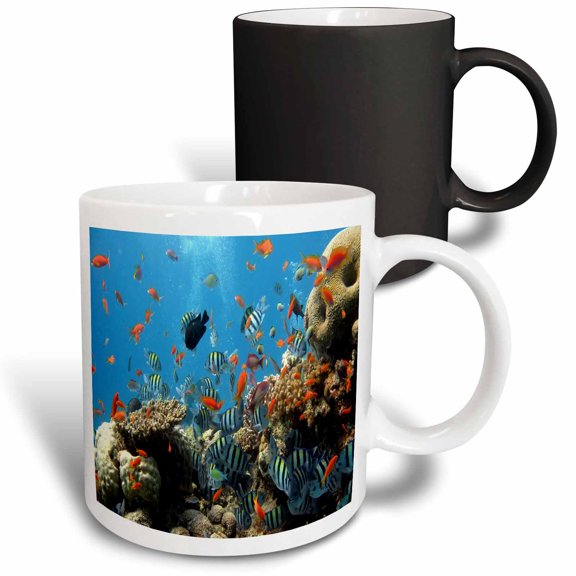 3drose, Colorful Fish Among the Coral, 11oz Magic Transforming Mug