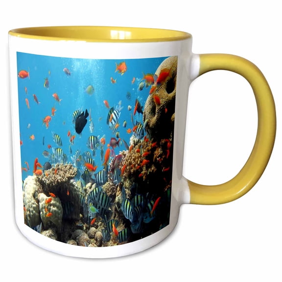 3drose, Colorful Fish Among the Coral, 11oz Two-tone Yellow Mug