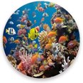 Colorful Fishes Coaster, Drinks Round Absorbent Stone Set with Ceramic