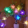 thumbnail image 1 of Colorful Flower Fibre Optic Fairy Lights,10LED Starburst Firework String Lights, Waterproof Fairy Lights for Indoor Outdoor Wedding, Christmas,Garden,Party Decoration (B), 1 of 6