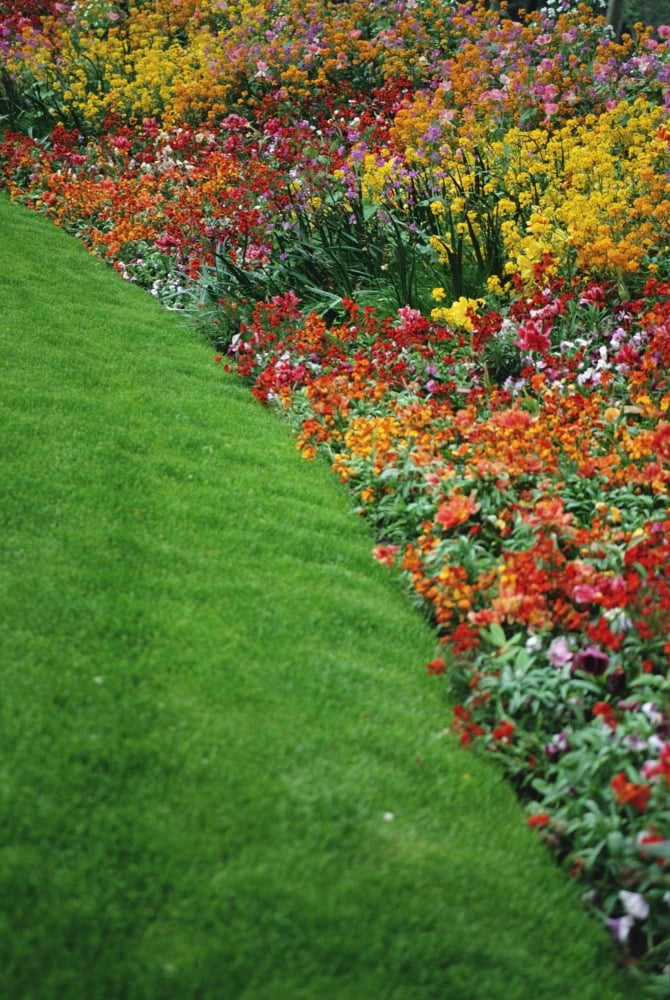 Colorful Flowers And Grass In Paris Close-Up Canvas Art - Ingrid Rasmussen Design Pics (11 x 17)