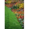 Colorful Flowers And Grass In Paris Close-Up Canvas Art - Ingrid ...