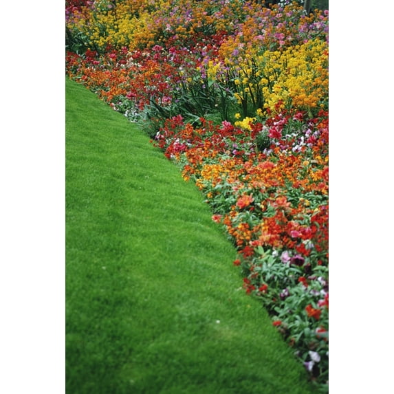 Carvas Design Colorful Flowers And Grass In Paris Close-Up Canvas Art - Ingrid ...