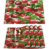 Colorful Fruit Apples Placemats Set of 6 Washable Kitchen Dining Table Mats 12 x 18 Inch Modern Cloth Place Mats Non-Slip Heat Resistant Placemats for Home Farmhouse Kitchen Dinner Party Decor