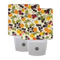thumbnail image 1 of Colorful Fruit Chart LED Night Light with Smart Sensor Plug Into Wall Dusk to Dawn 2 packs, 1 of 7