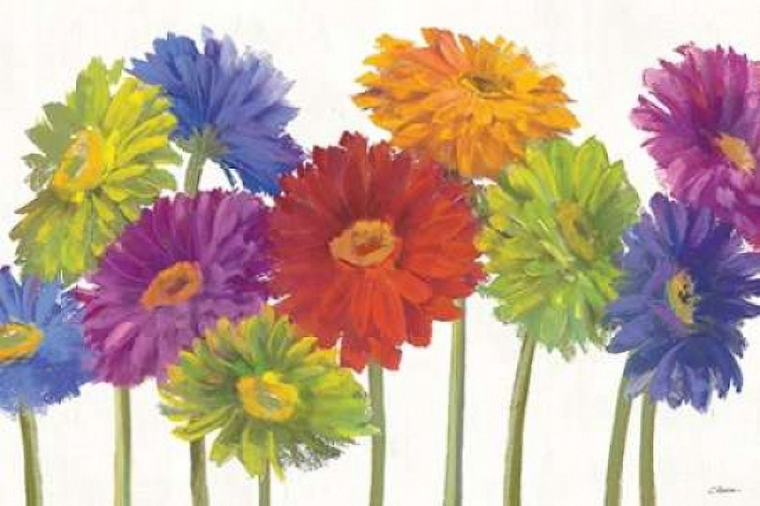 Colorful Gerbera Daisies Canvas Art - Carol Rowan (12 x 18)