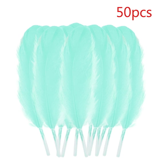Colorful Goose Feathers 50 Pcs Natural Dyed For Diy Dreamcatcher Wall Decor Cat Toy Craft Supplies