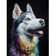 thumbnail image 1 of Colorful Husky Dog Canvas Print Wall Art for Living Room Bedroom Office Hallway Dining Room Decor, 1 of 8
