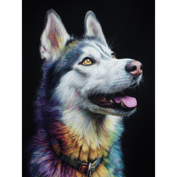 Colorful Husky Dog Canvas Print Wall Art for Living Room Bedroom Office Hallway Dining Room Decor