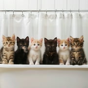 Colorful Kittens in Bathtub Charming Cat Theme Shower Curtain