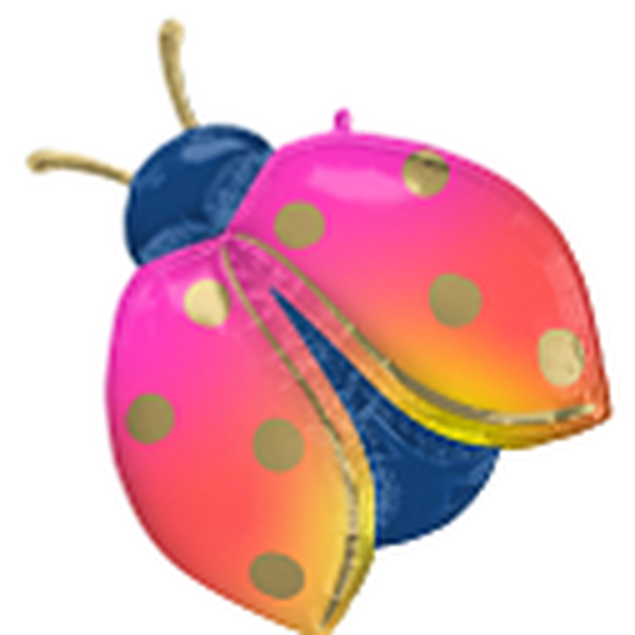LRG SHP COLORFUL LADYBUG