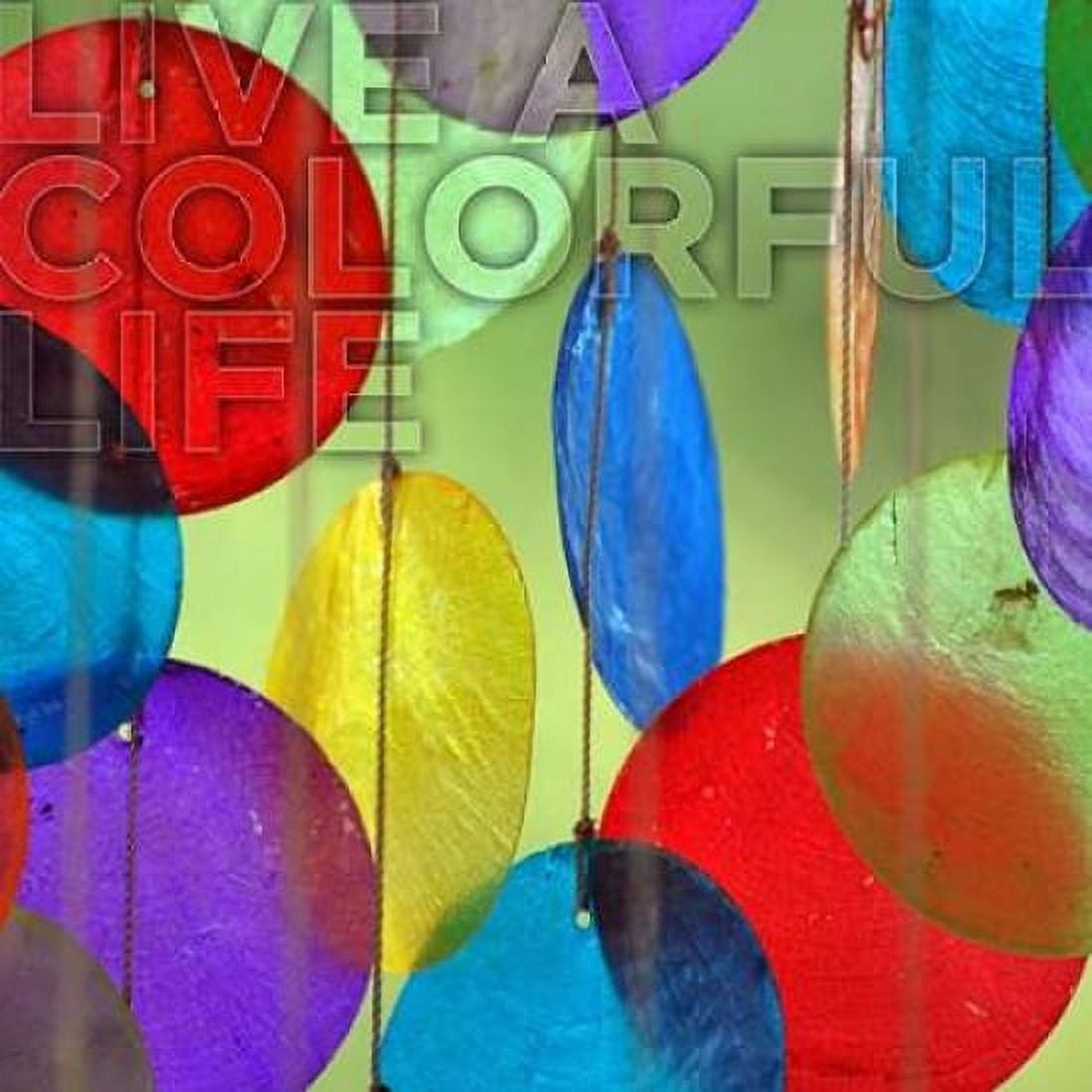 Colorful Life Canvas Art - Gail Peck (24 x 24)