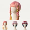 thumbnail image 1 of Colorful Long Hair Pigtail Pet Wig Clothes Accessory for Small Dogs and Cats, Funny Pet Headwear for Halloween Party, Birthday Photo Prop Accessories, 1Pack A, 1 of 7