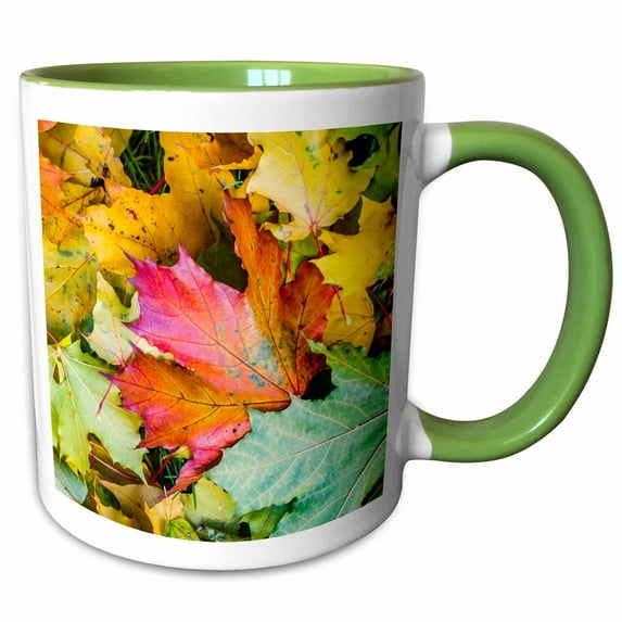 3drose, Colorful Maple Leaves on the Ground. Golden Autumn Season, 15oz Two-tone Green Mug