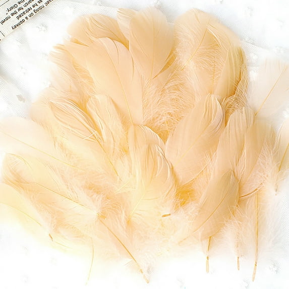 Colorful Natural Feather Craft Set - 50 Sets DIY Toy for Kids Arts & Crafts Material for Manual Decoration and Learning