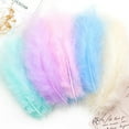 thumbnail image 1 of Colorful Natural Feather Craft Set - 50 Sets DIY Toy for Kids Arts & Crafts Material for Manual Decoration and Learning, 1 of 2