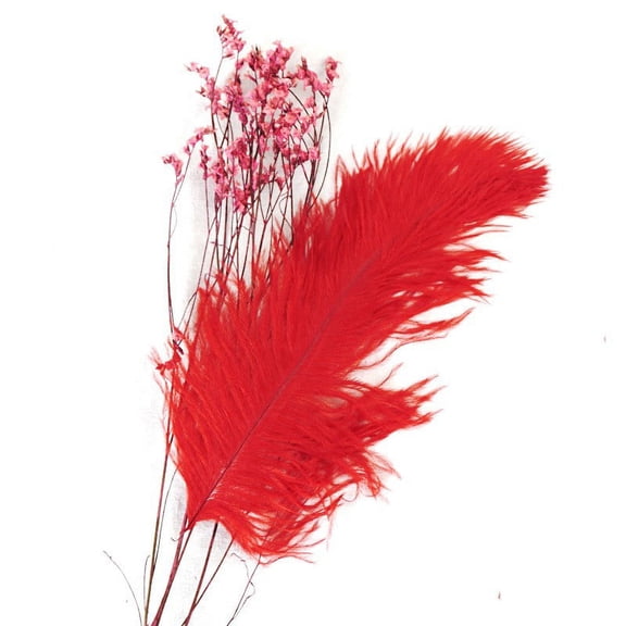 Colorful Ostrich Feathers, 20-25cm, 10pcs