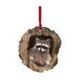 thumbnail image 1 of Colorful Owl Acrylic Ornament for Christmas Tree and Holiday Celebration, 1 of 20