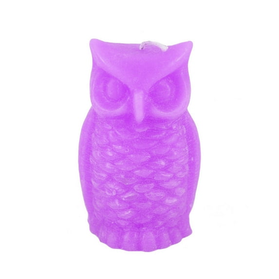 Colorful Owl Candle
